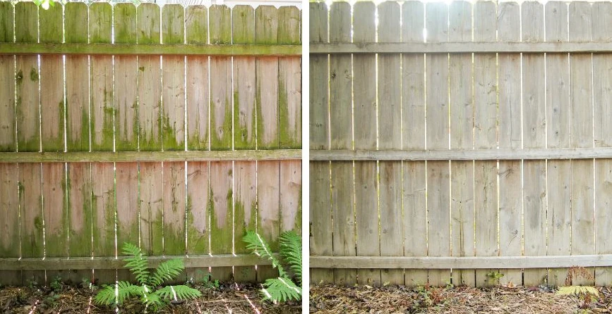 Fence & Retaining Wall Cleaning in Montgomery, AL